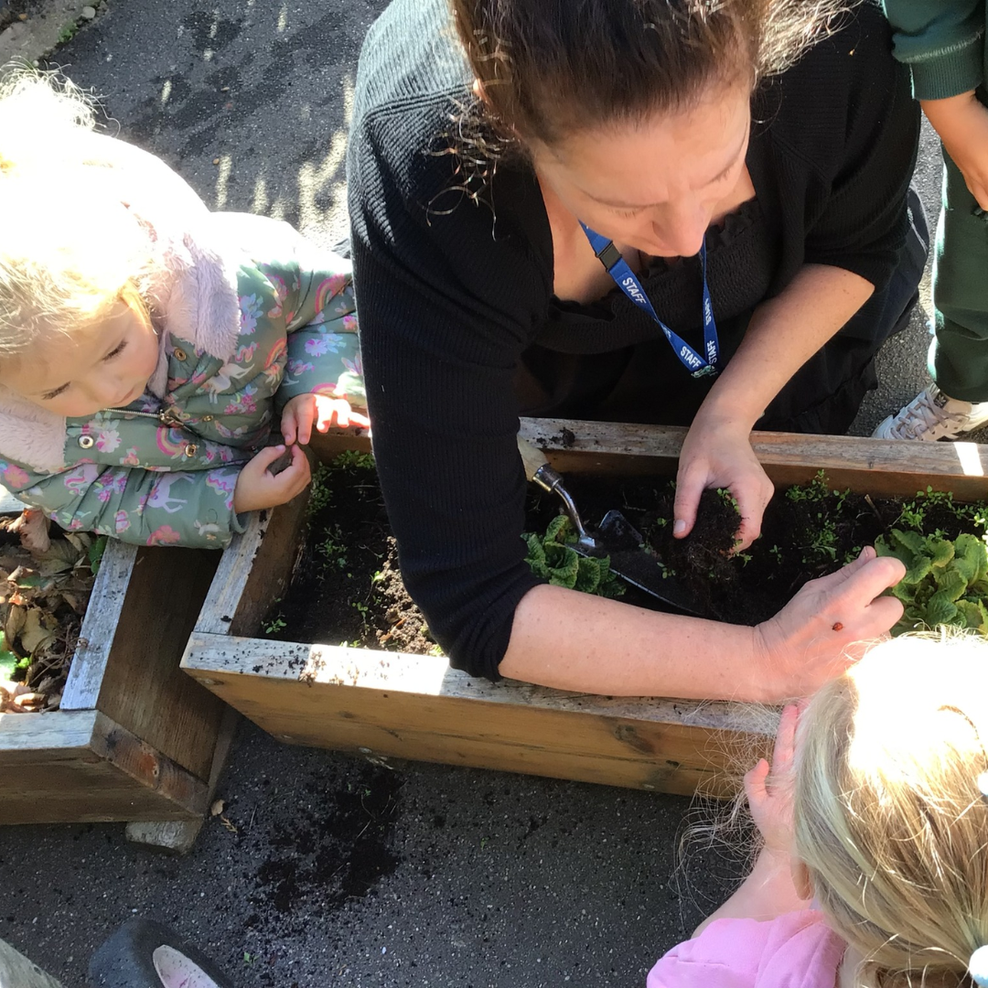 two nursery children and a teacher planting in a small outdoor planter
